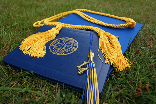 College diploma on grass field